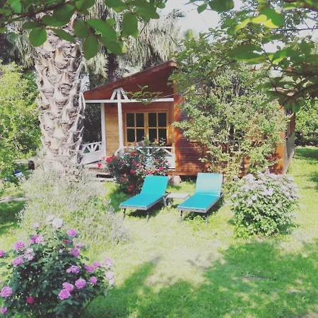 Hemerans Anatolia 3* Çıralı